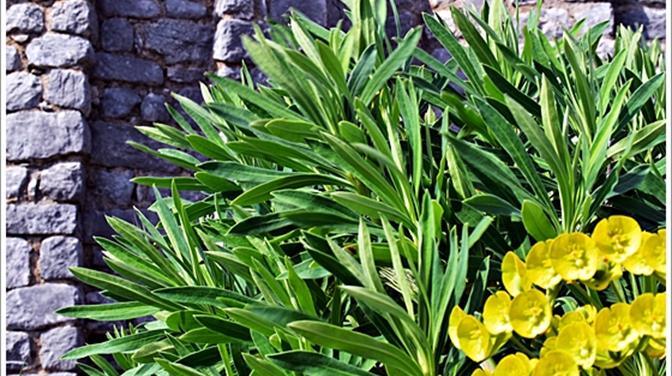 Obilježavanje Dana planeta Zemlje