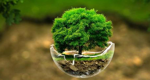 Noć knjige 2017. – Ljekovito bilje / radionica i predavanje Ane Bebič