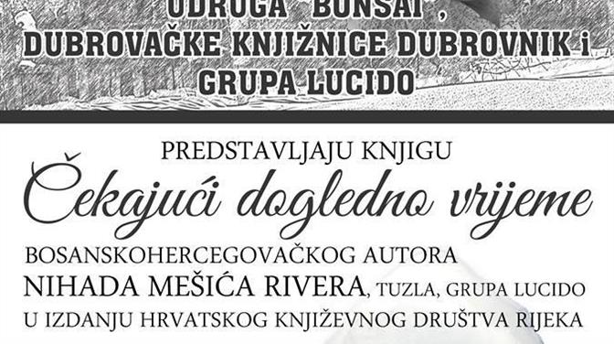 Predstavljanje knjige - Čekajući dogledno vrijeme