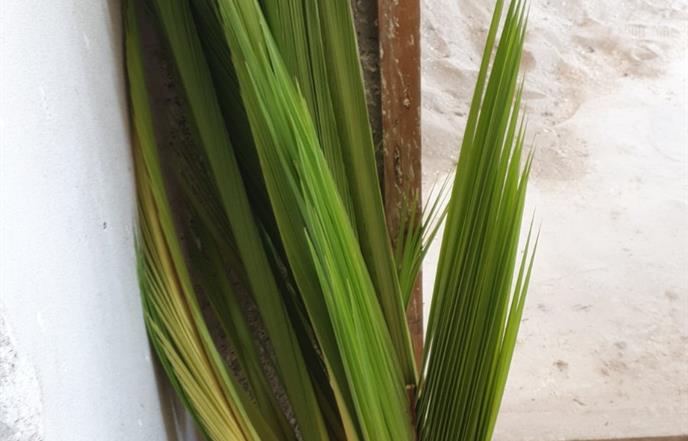 Otkazana radionica izrade pomi