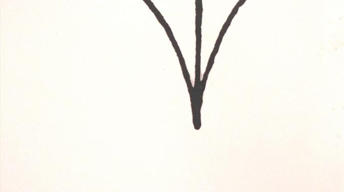 Ivana Bašić “Terapijska snaga književnosti“