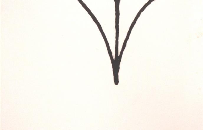 Ivana Bašić “Terapijska snaga književnosti“