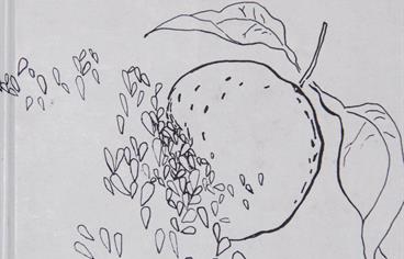 ''Bijeli cvijet'' Mire Perak