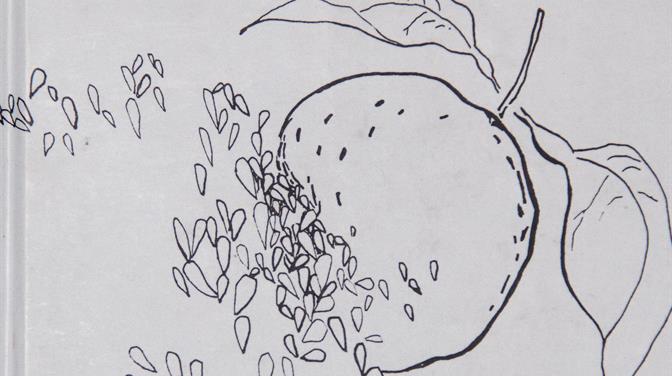 ''Bijeli cvijet'' Mire Perak