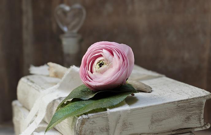 Pro ili contra? Recenzije pročitanih knjiga članova Dubrovačkih knjižnica