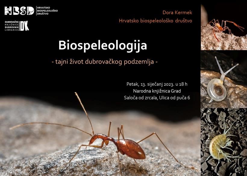 Predavanje Dore Kermek na temu "Biospeleologija: tajni život dubrovačkog podzemlja"