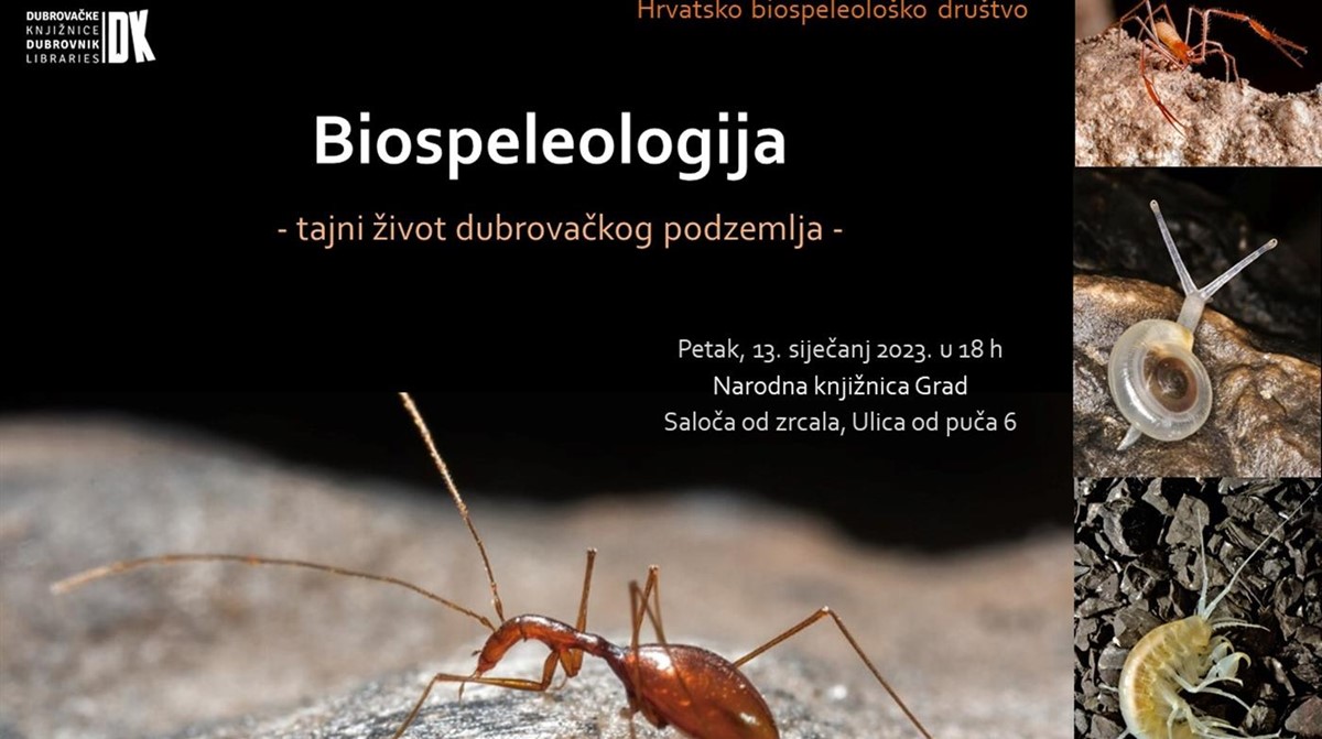 Predavanje Dore Kermek na temu "Biospeleologija: tajni život dubrovačkog podzemlja"