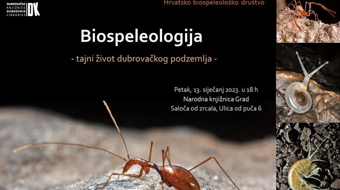Predavanje Dore Kermek na temu "Biospeleologija: tajni život dubrovačkog podzemlja"