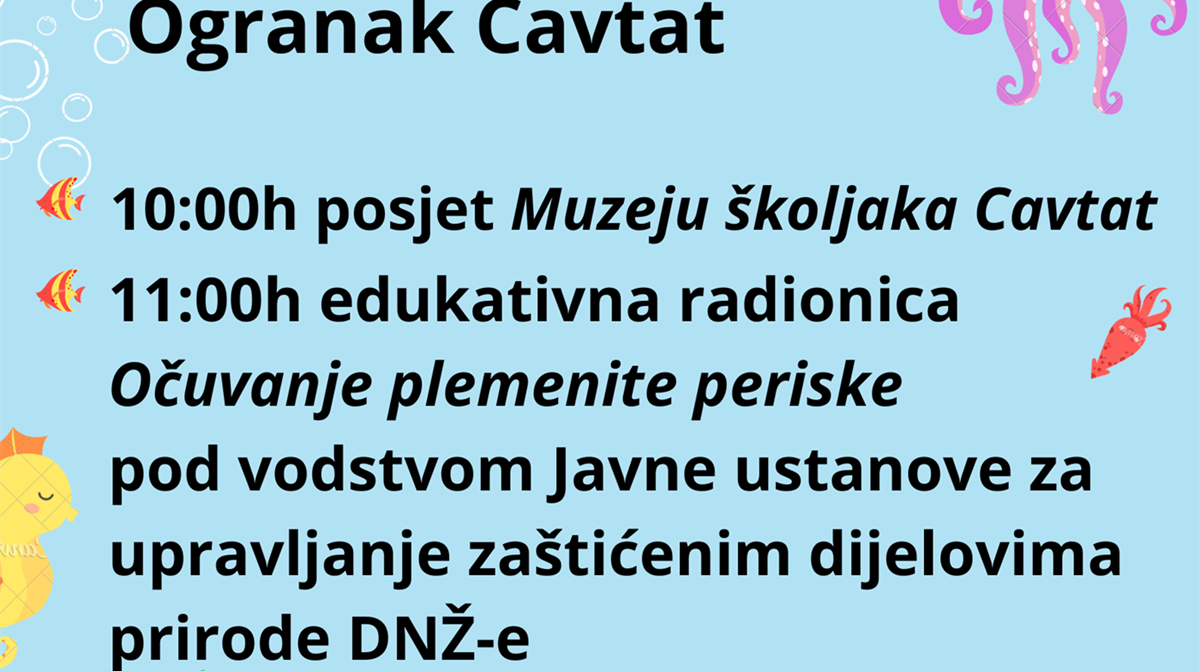 Edukativna radionica "Očuvanje plemenite periske" u ogranku Cavtat