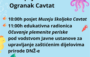 Edukativna radionica "Očuvanje plemenite periske" u ogranku Cavtat