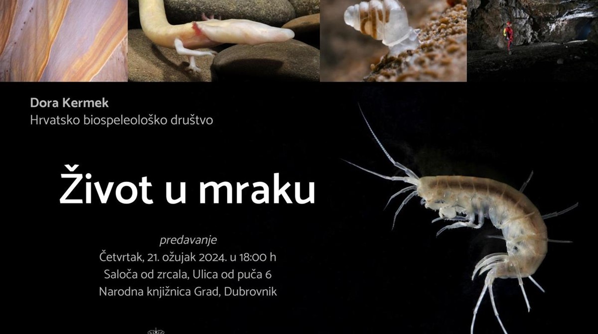 PREDAVANJE SPELEOLOGINJE Dora Kermek otkrit će tajne koje skriva život u mraku