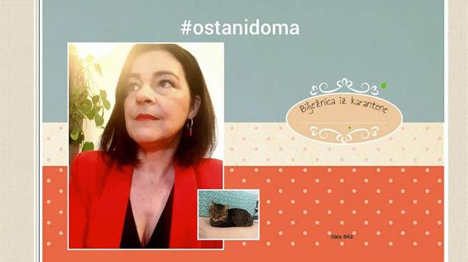 Diana Brkić predstavlja zbirku pjesama "Bilježnica iz karantene"