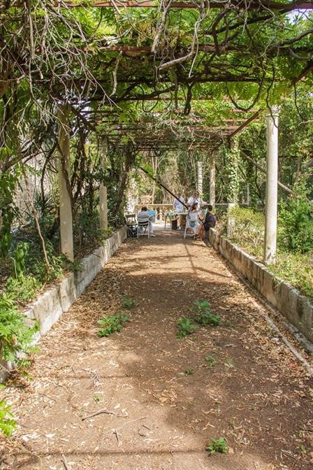 Likovna kolonija dubrovačkih umjetnika (DULU) u Skočibuhi