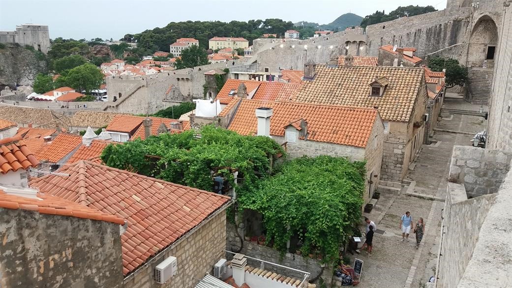 Vrtovi i zelenilo povijesne jezgre Dubrovnika