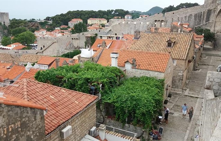 Vrtovi i zelenilo povijesne jezgre Dubrovnika