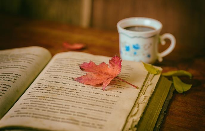 Nema zakasnine u Mjesecu knjige!