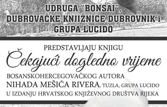 Predstavljanje knjige - Čekajući dogledno vrijeme