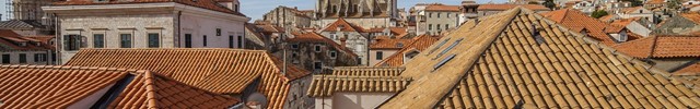 Šetnjom do knjižnice